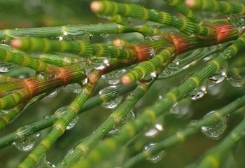 PC313368a.jpg